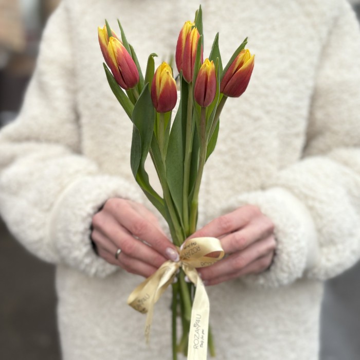 7 красно-желтых тюльпанов Денмарк
