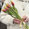 7 красно-желтых тюльпанов Денмарк