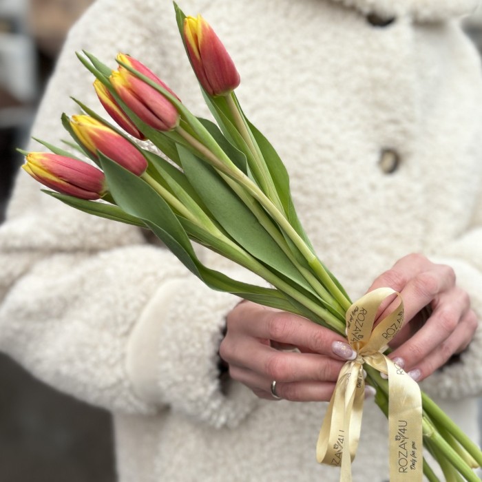 7 красно-желтых тюльпанов Денмарк