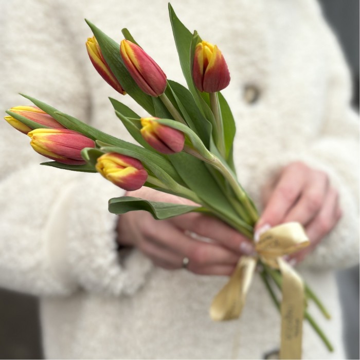 7 красно-желтых тюльпанов Денмарк