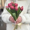 7 розовых пионовидных тюльпанов Коламбус