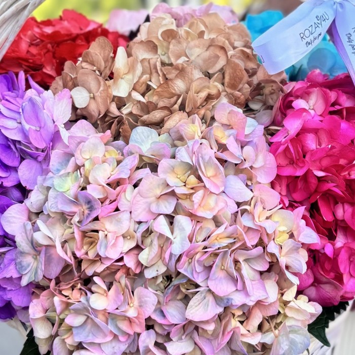 7 ярких гортензий в корзине