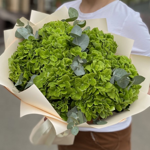 7 зеленых гортензий Дарк грин с эвкалиптом