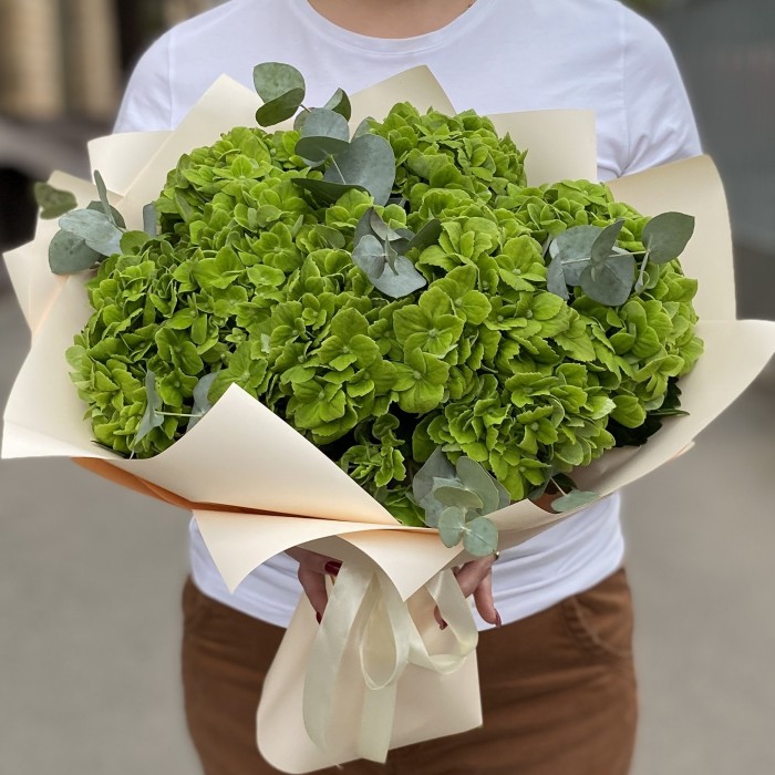 7 зеленых гортензий Дарк грин с эвкалиптом