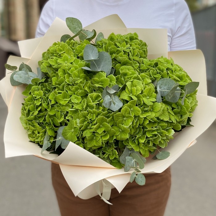 7 зеленых гортензий Дарк грин с эвкалиптом