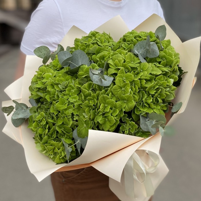 7 зеленых гортензий Дарк грин с эвкалиптом