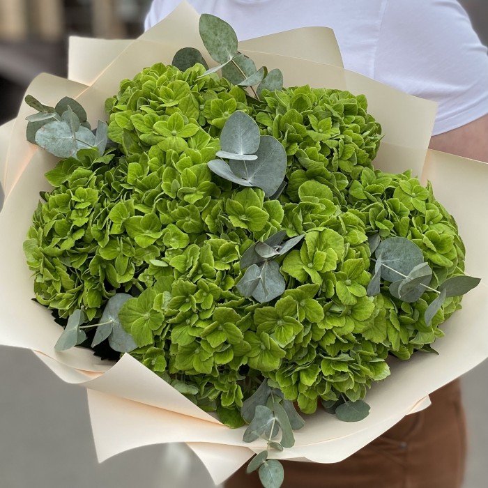 7 зеленых гортензий Дарк грин с эвкалиптом