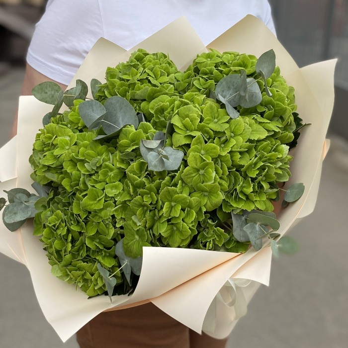 7 зеленых гортензий Дарк грин с эвкалиптом