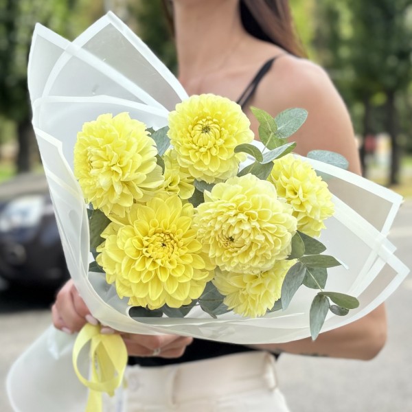 7 желтых георгин помпон с эвкалиптом