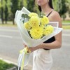 7 желтых георгин помпон с эвкалиптом