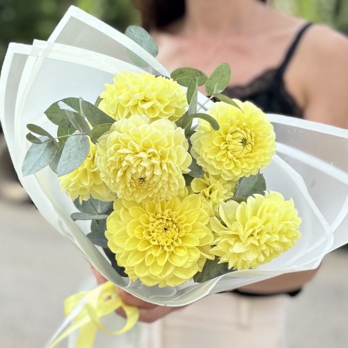 7 желтых георгин помпон с эвкалиптом