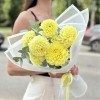 7 желтых георгин помпон с эвкалиптом