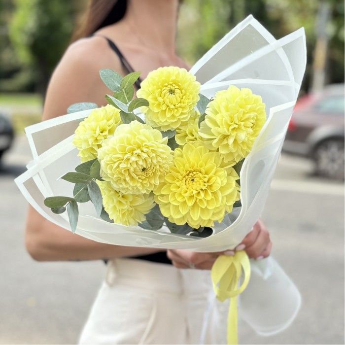 7 желтых георгин помпон с эвкалиптом