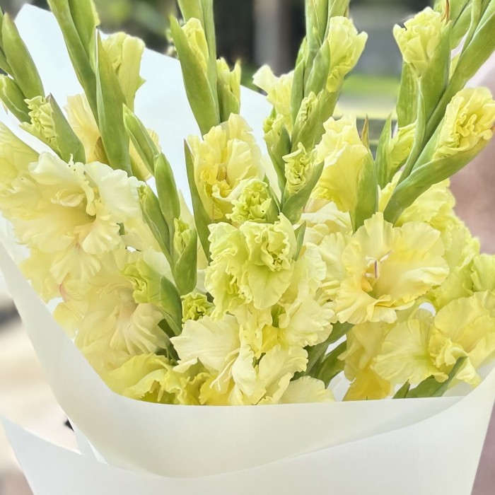 7 желтых гладиолусов