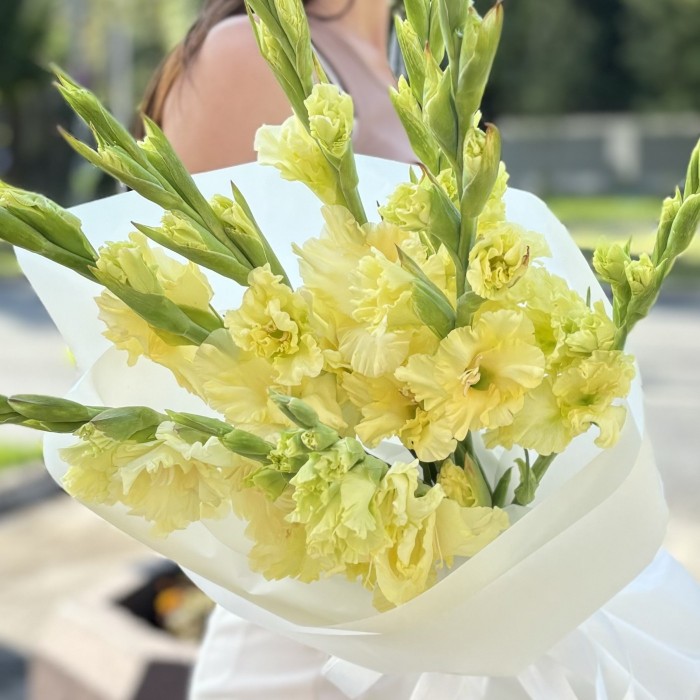 7 желтых гладиолусов