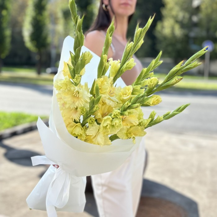 7 желтых гладиолусов