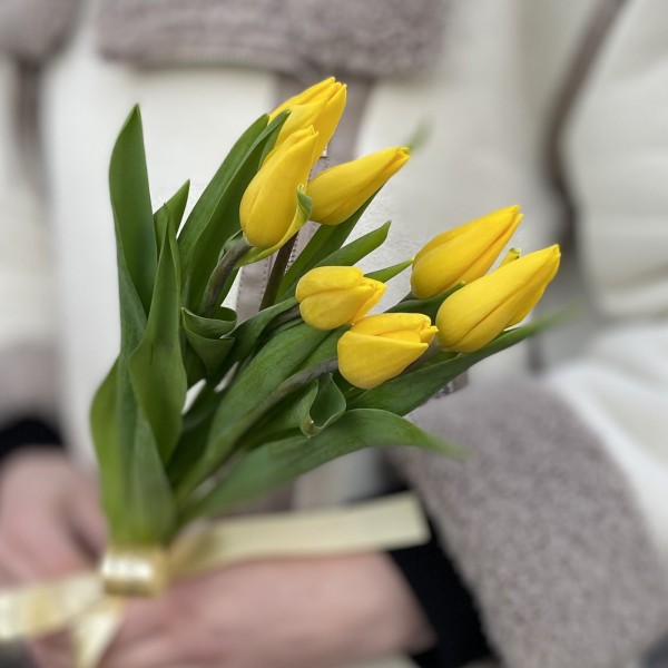 7 желтых тюльпанов с лентой