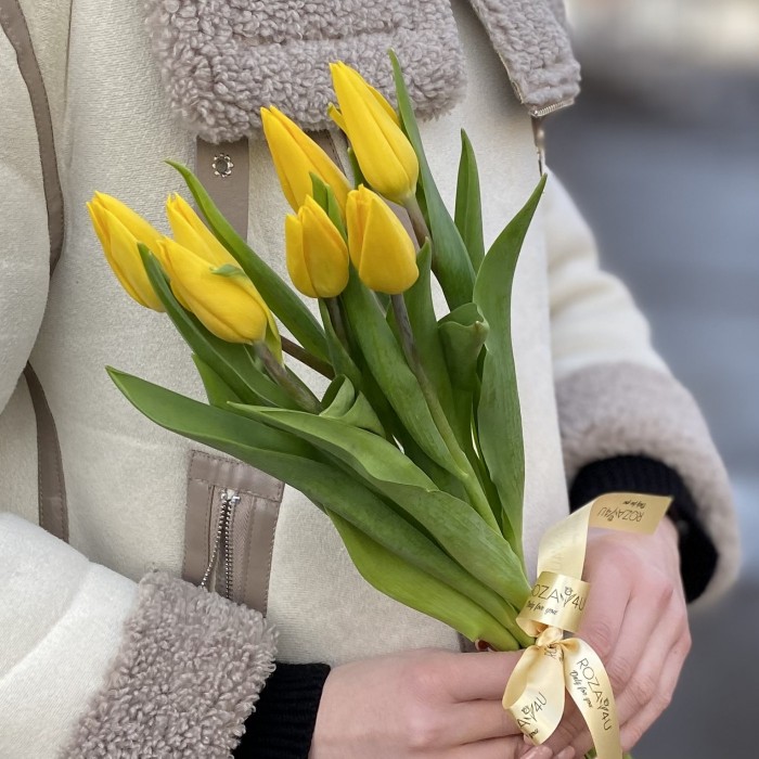 7 желтых тюльпанов с лентой