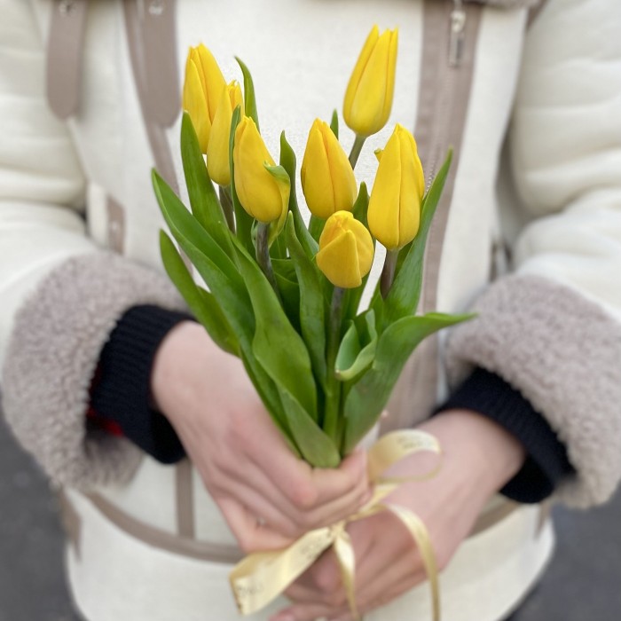 7 желтых тюльпанов с лентой