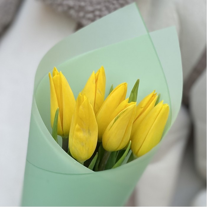 7 желтых тюльпанов в упаковке