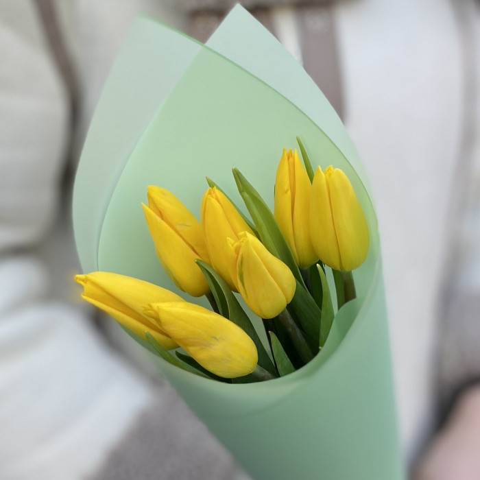 7 желтых тюльпанов в упаковке