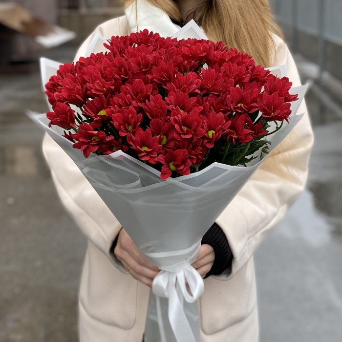 9 бордовых кустовых хризантем Бакарди