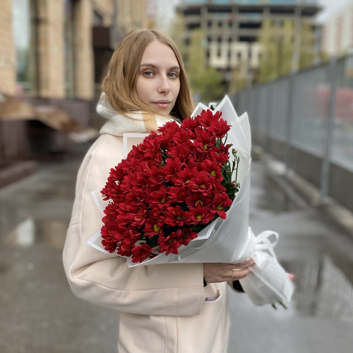 9 бордовых кустовых хризантем Бакарди