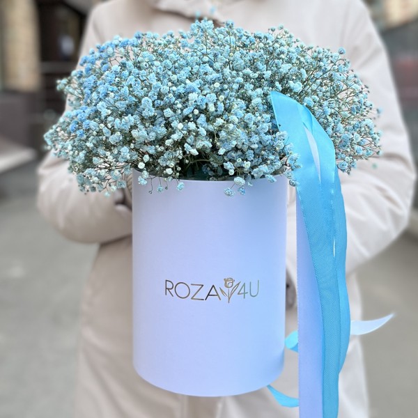 9 голубых гипсофил в коробке