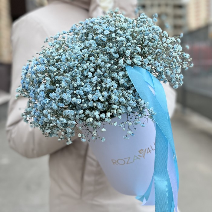 9 голубых гипсофил в коробке