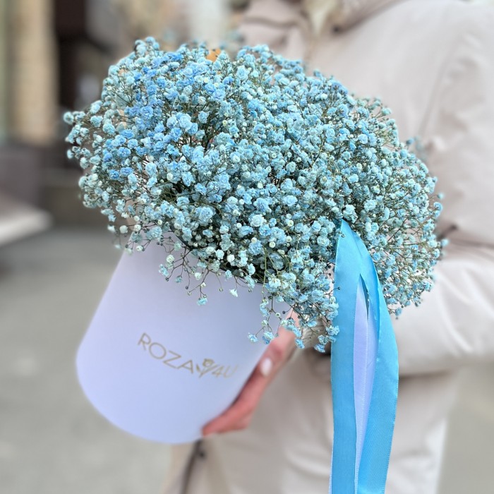 9 голубых гипсофил в коробке