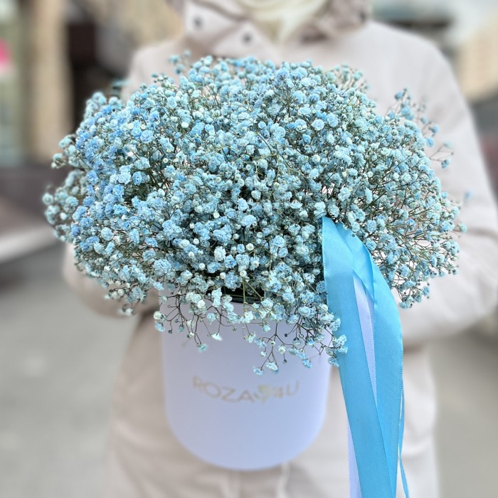 9 голубых гипсофил в коробке