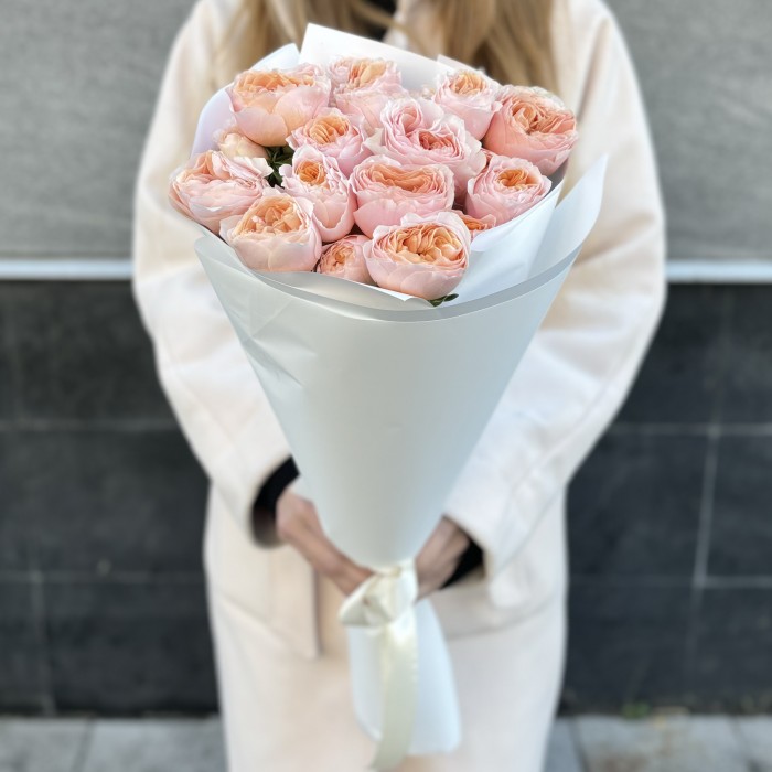 9 коралловых кустовых пионовидных роз Кейджерс коралл