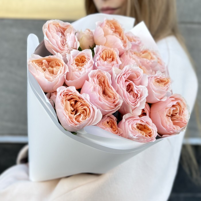 9 коралловых кустовых пионовидных роз Кейджерс коралл