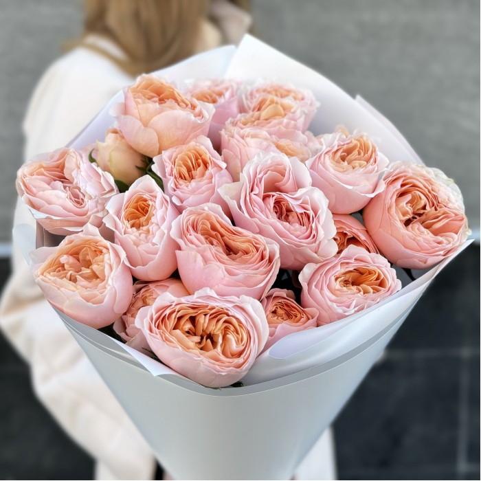 9 коралловых кустовых пионовидных роз Кейджерс коралл