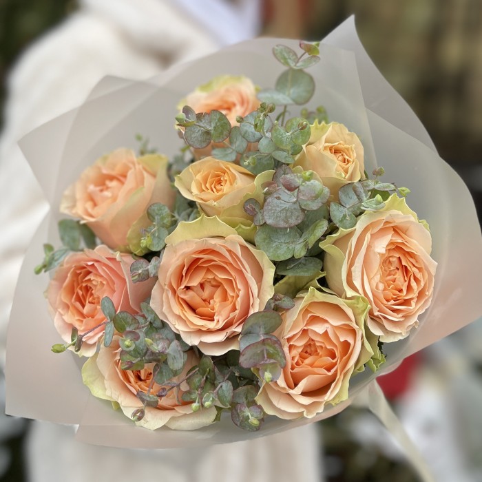 9 кремовых пионовидных роз Гравити с эвкалиптом