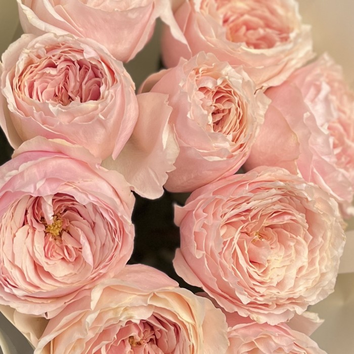 9 нежно-розовых пионовидных Тсумуги