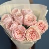 9 нежно-розовых пионовидных Тсумуги