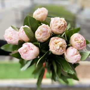 9 пионов Топ Брасс (Top Brass)