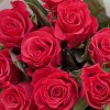 9 малиновых роз Такаци 50 см