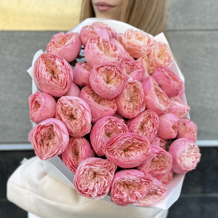 9 розовых пионовидных роз Херпер