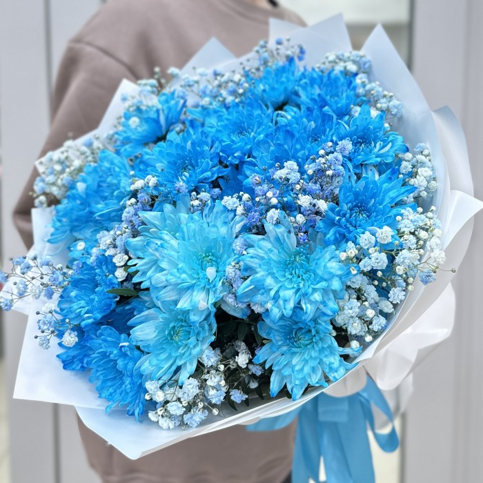 9 синих кустовых хризантем Балтика с гипсофилой