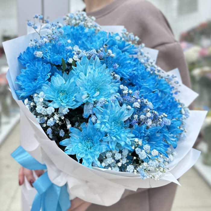 9 синих кустовых хризантем Балтика с гипсофилой