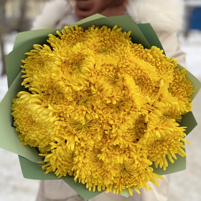 17 желтых хризантем