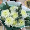 7 белых хризантем с нобилисом