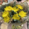 7 желтых хризантем с нобилисом