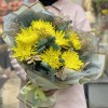 7 желтых хризантем с нобилисом