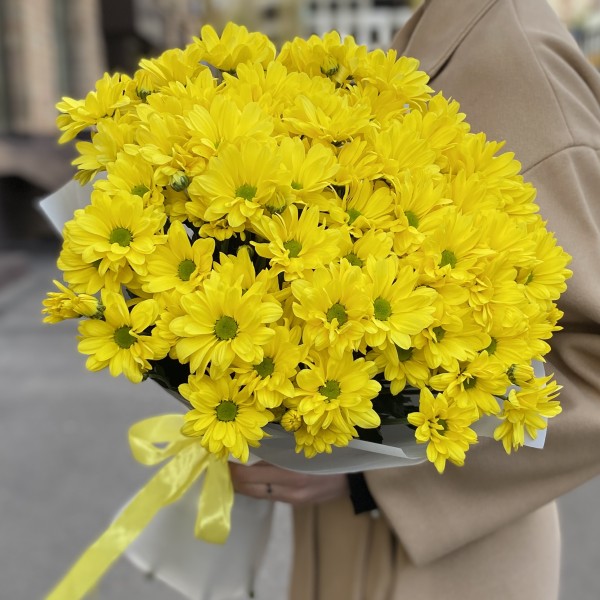 9 желтых кустовых хризантем Бакарди