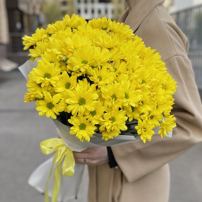 9 желтых кустовых хризантем Бакарди