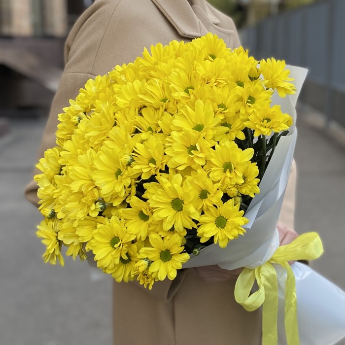 9 желтых кустовых хризантем Бакарди