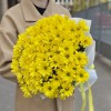 9 желтых кустовых хризантем Бакарди